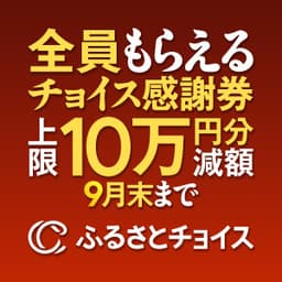 【dポイントがたまる！】【ふるさと納税】ふるさとチョイス